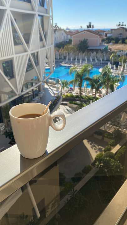 Zimmer Seashell Vega