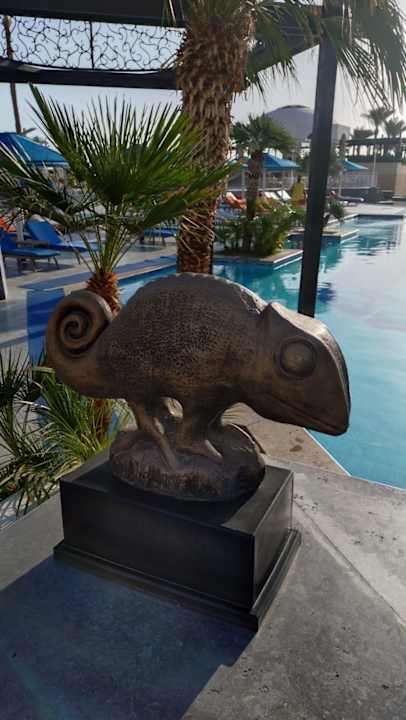 Sonstiges Pickalbatros Palace Hotel-Port Ghalib