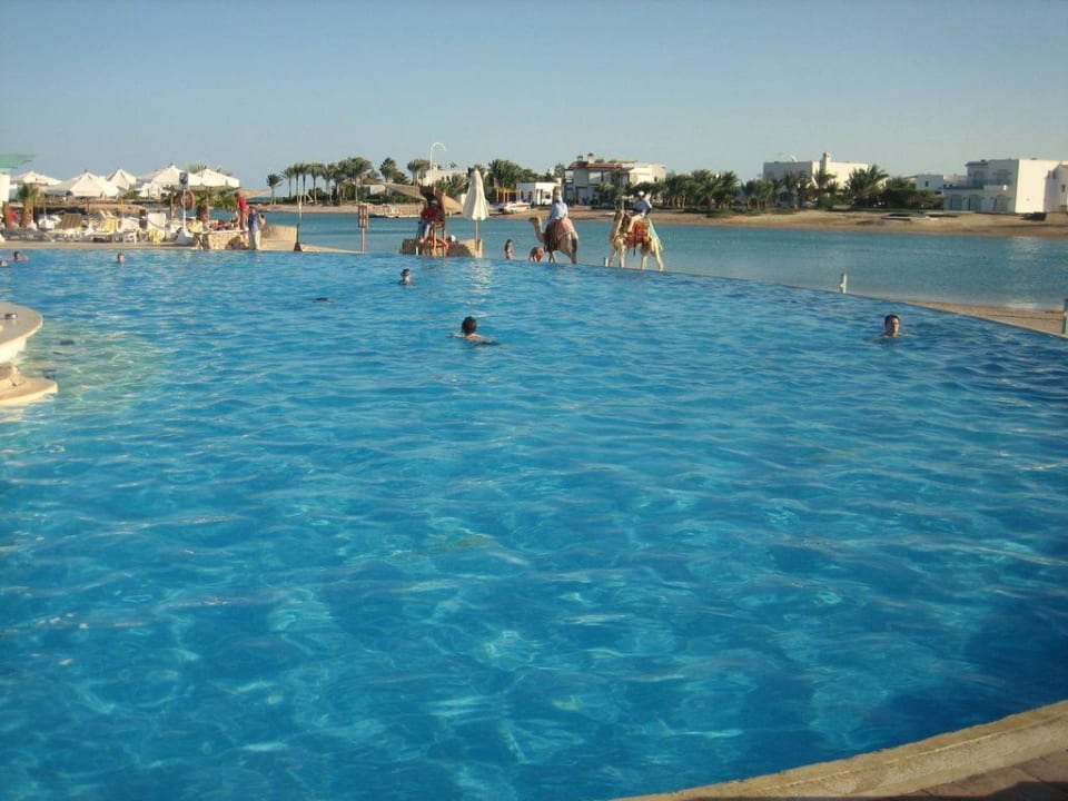 Der südliche Pool (mit Blick auf Lagune) Mövenpick Resort & Spa El Gouna