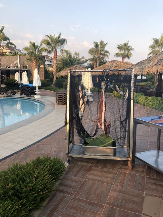 Gastro Sherwood Blue Belek