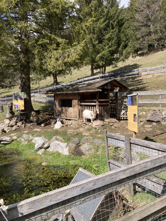 Gartenanlage Oberjoch - Familux Resort