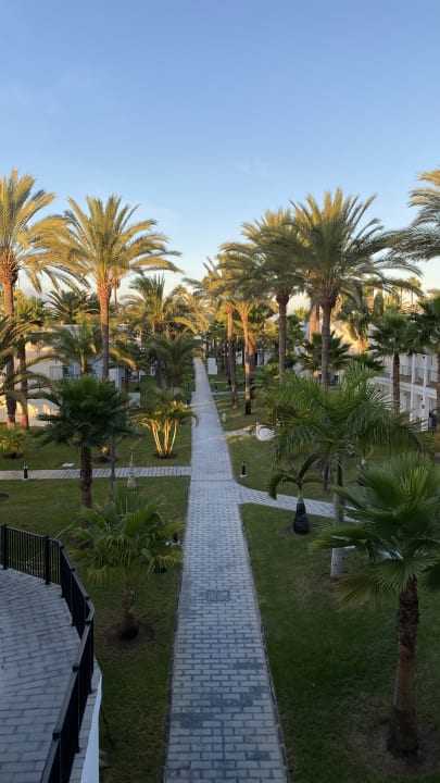 Gartenanlage Hotel Riu Palace Meloneras
