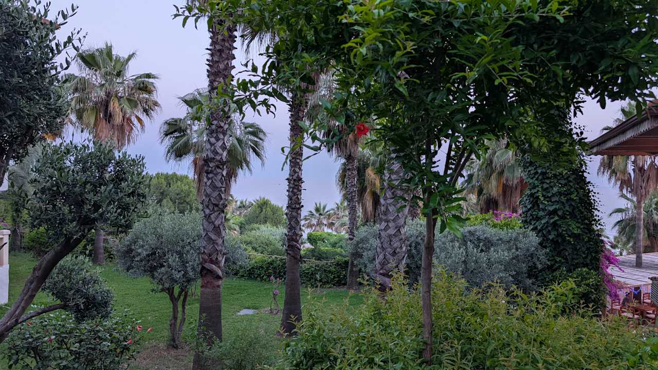 Gartenanlage Hotel Defne Dream