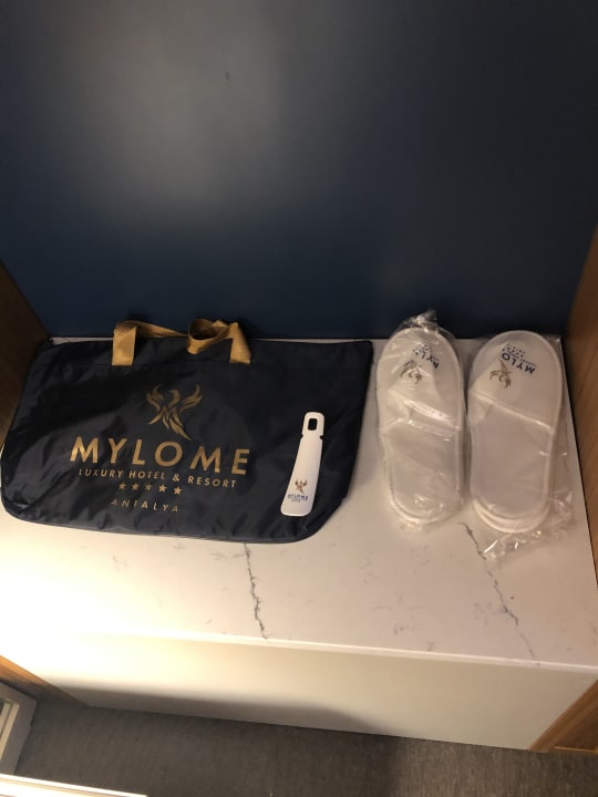 Zimmer Mylome Luxury Hotel & Resort