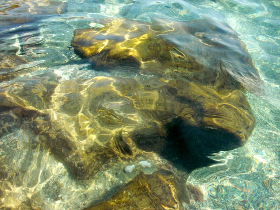 Glasklares Wasser Rodos Princess Beach Hotel & Spa