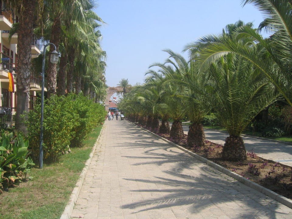 Blick vom Balkon Club Grand Side