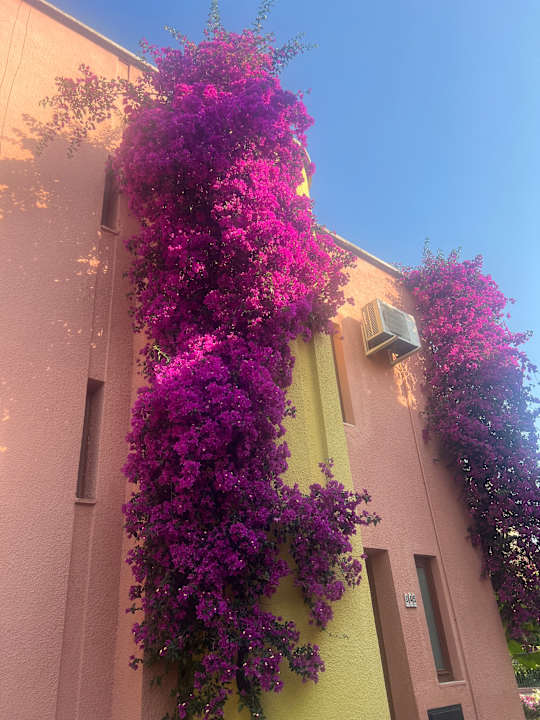 Zimmer VONRESORT Golden Beach