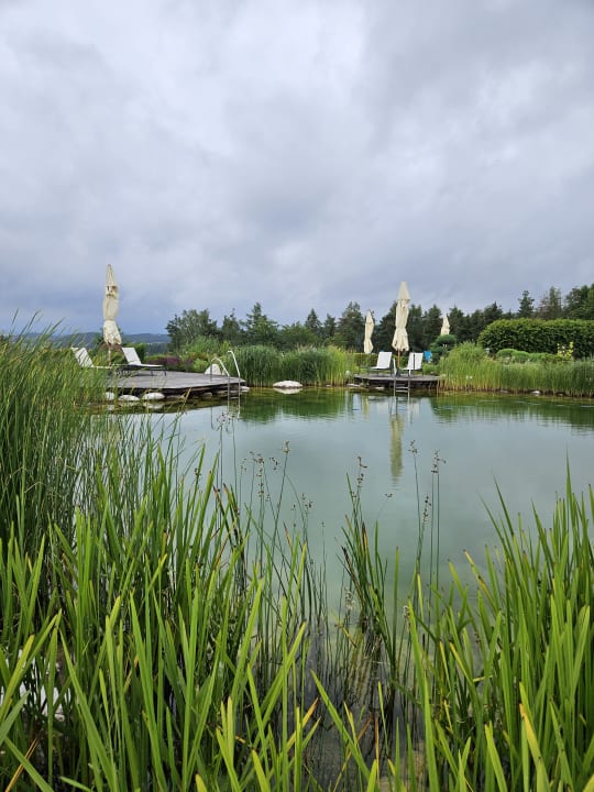 Gartenanlage Der Birkenhof - Spa & Genuss Resort