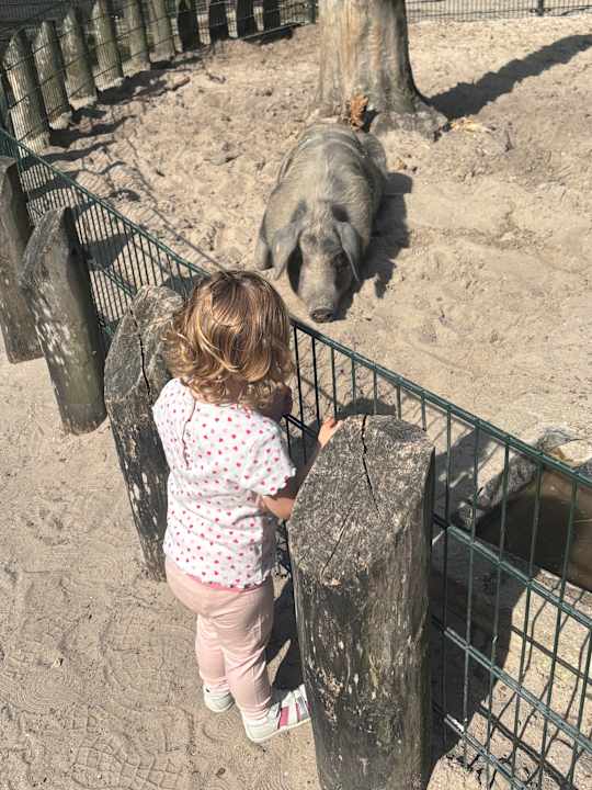 Sport & Freizeit Center Parcs De Kempervennen
