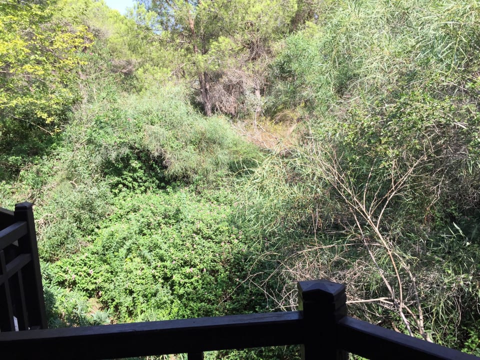 Ausblick aus dem Zimmer Asteria Family Belek
