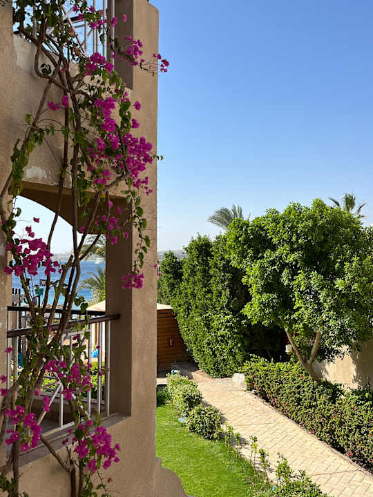 Zimmer Prima Life Makadi Resort
