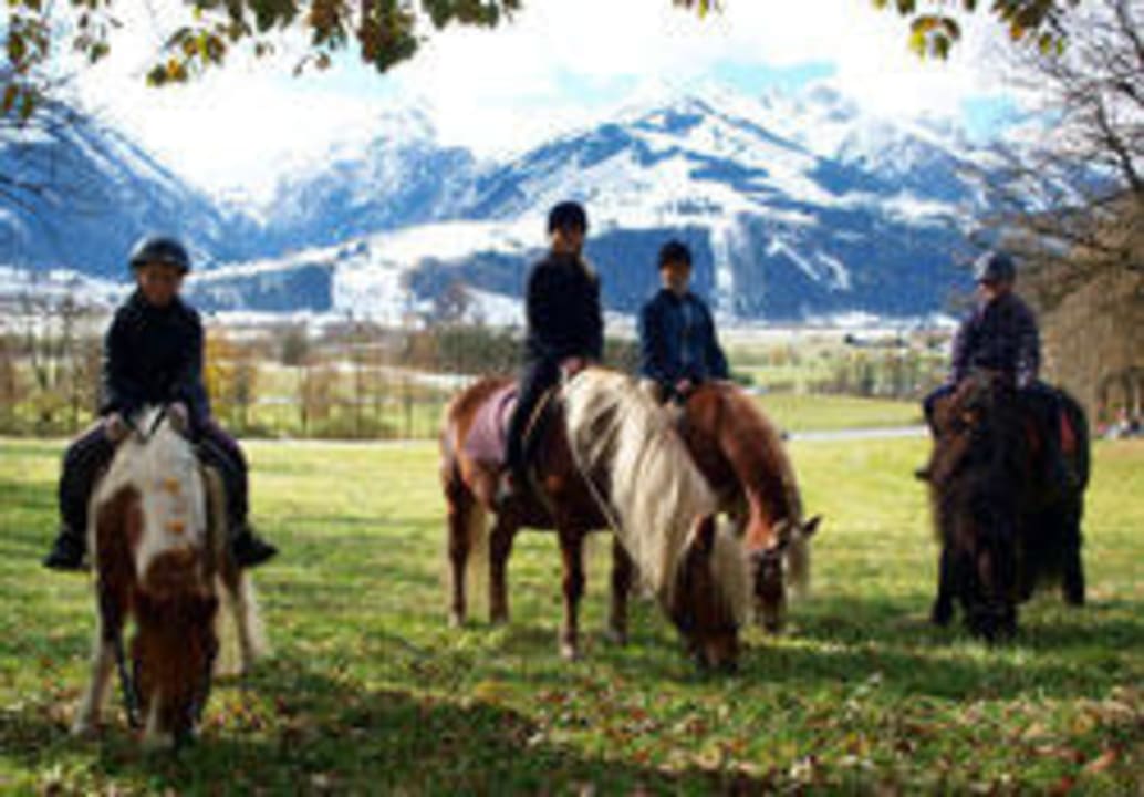 Ausritt Pension Oberschneider