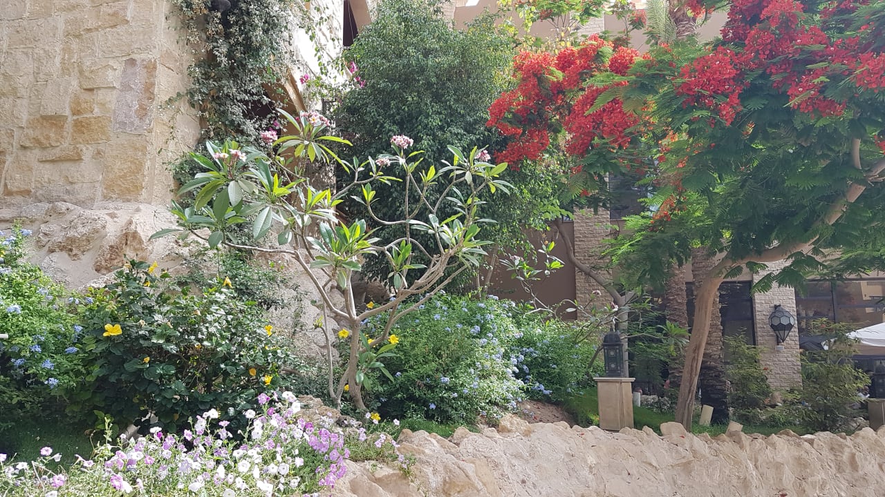 Gartenanlage Grand Waterworld Makadi & Family Star Makadi