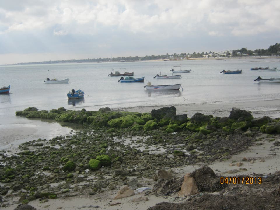 Noch Hotelareal Hotel El Mouradi Djerba Menzel
