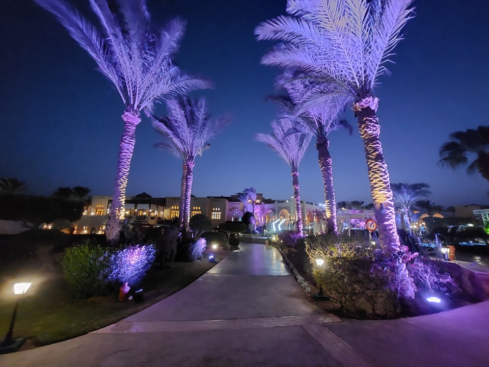 Gartenanlage Steigenberger Coraya Beach - Adults only