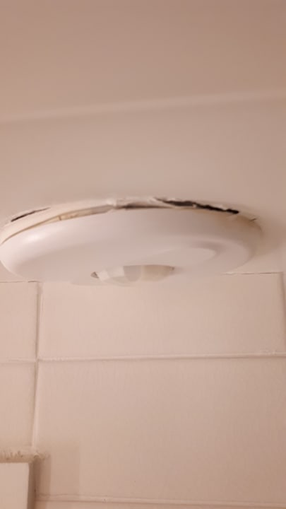 Zimmer Hotel The Modern Honolulu