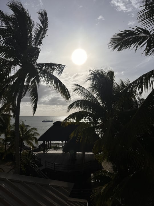 Ausblick Lagoon Attitude - Adults only