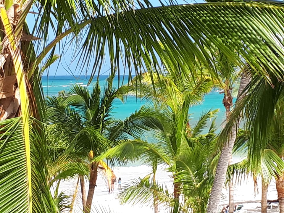 Strand Hotel Riu Palace Punta Cana