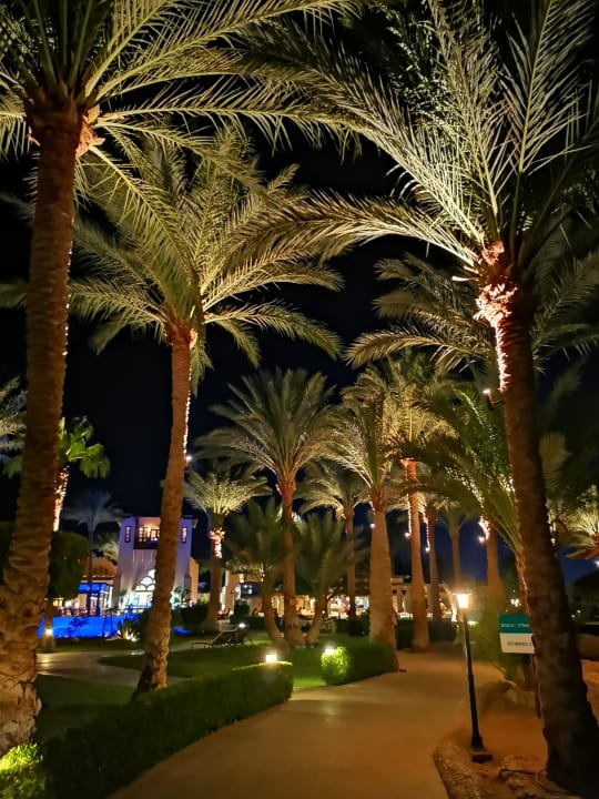 Garten Hotel JAZ Makadi Star & Spa
