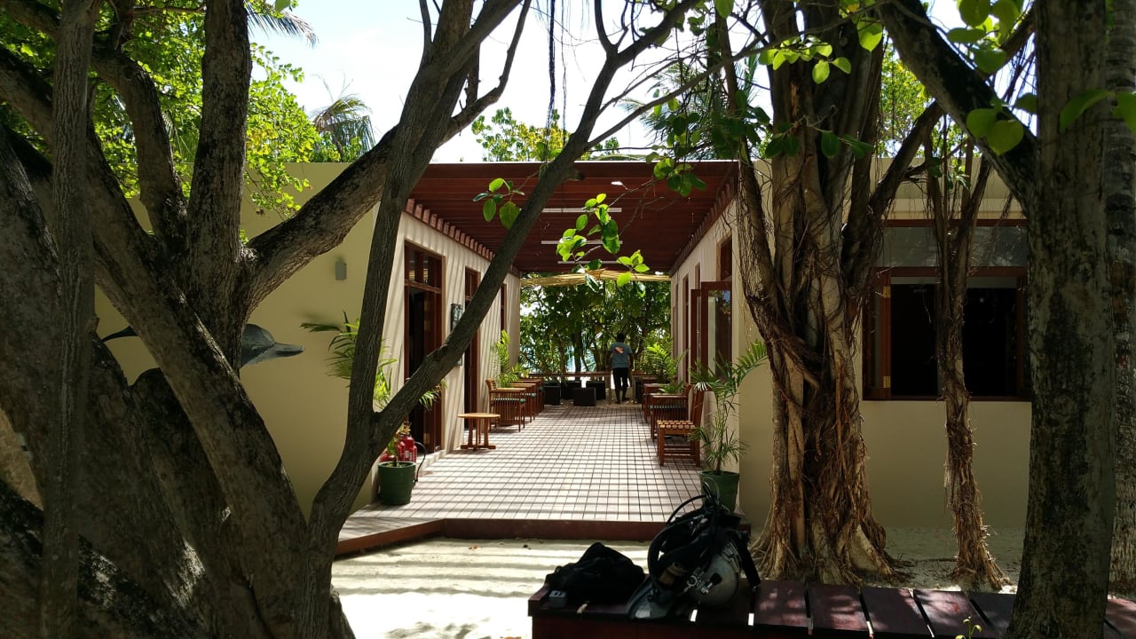 Tauchbasis  Summer Island Maldives