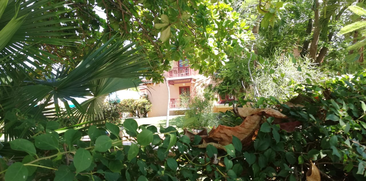 Ausblick Starfish Cuatro Palmas