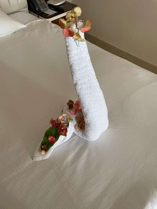 Zimmer Pickalbatros Citadel Resort