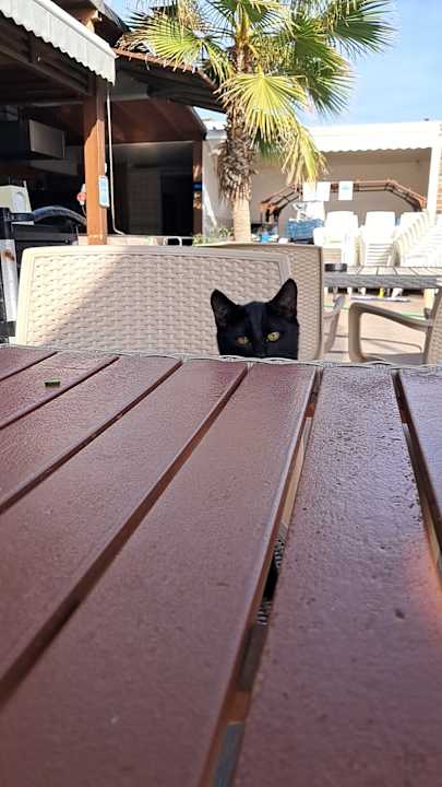 Strand Dream World Resort & Spa