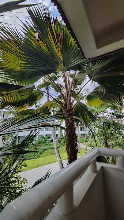 Gartenanlage Bahia Principe Grand Tulum