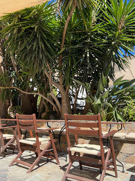 Gartenanlage Albatros Spa & Resort Hotel