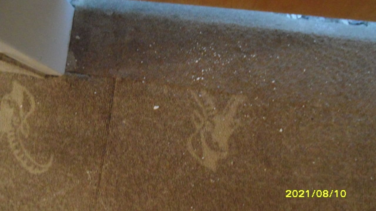 Sonstiges SCOL Sporthotel Zillertal