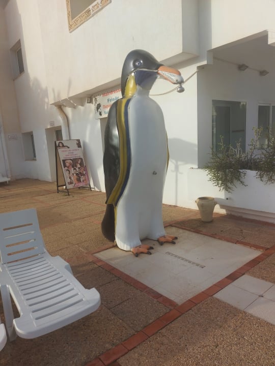 Sport & Freizeit El Mouradi Club Kantaoui