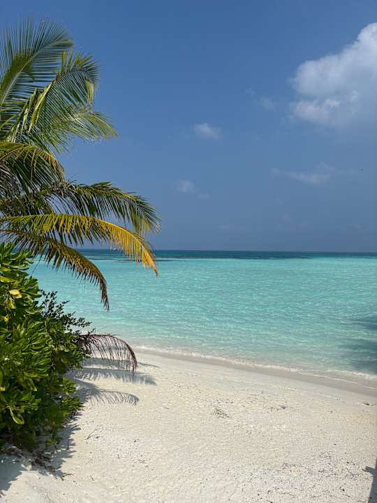 Strand Jawakara Islands Maldives