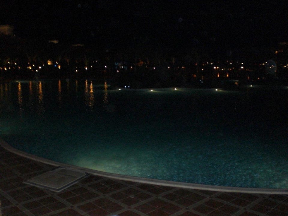 Pool Pickalbatros Palace Resort