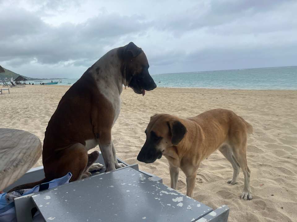 Strand La Pirogue Mauritius