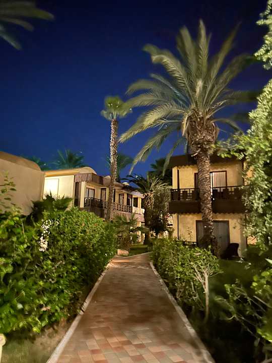 Gartenanlage Hotel Paradis Palace