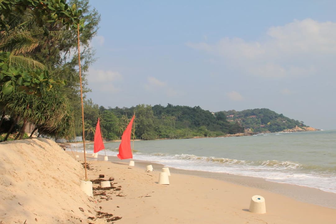 Strand direkt vor dem Hotel SALA Samui Choengmon Beach Resort