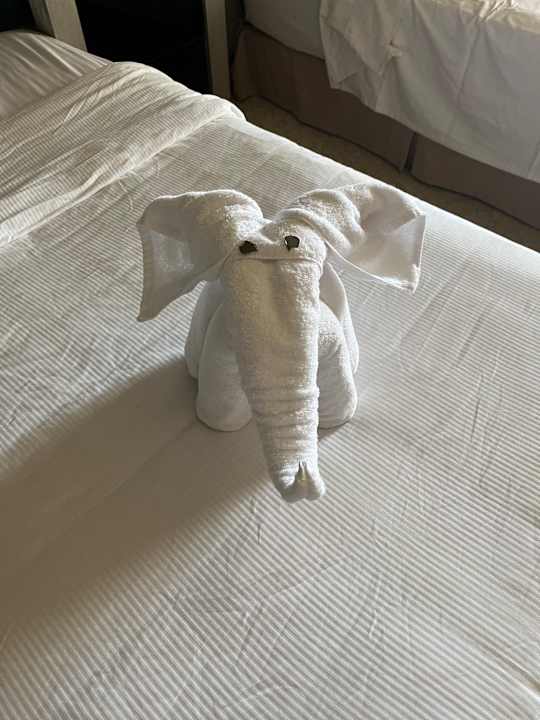 Zimmer Kaisol Romance Resort