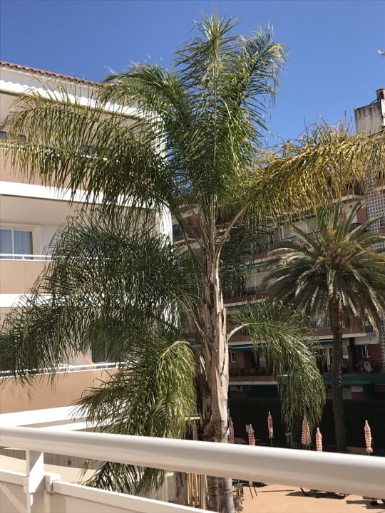 Ausblick Sumus Hotel Monteplaya