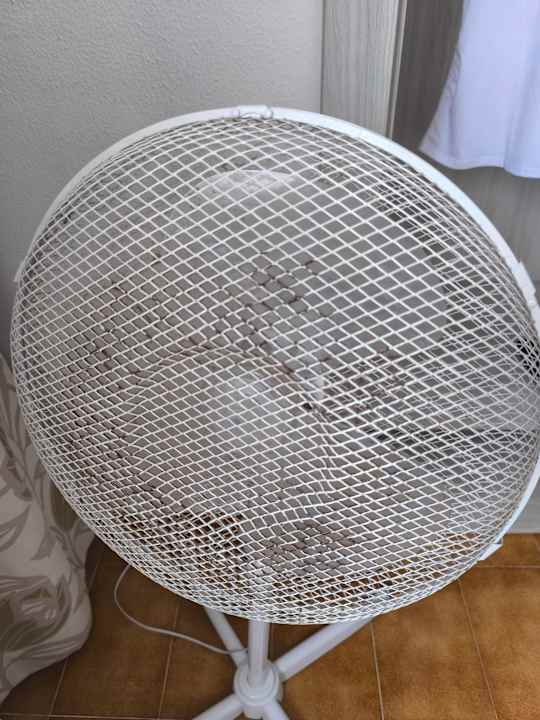 Zimmer Don Quijote Apartment