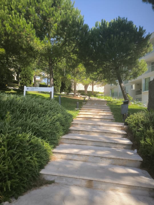 Gartenanlage Valamar Bellevue Resort