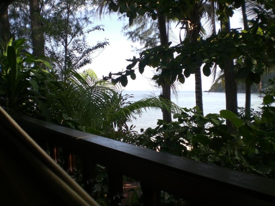 Ausblick vom Zimmer Hotel Salad Hut