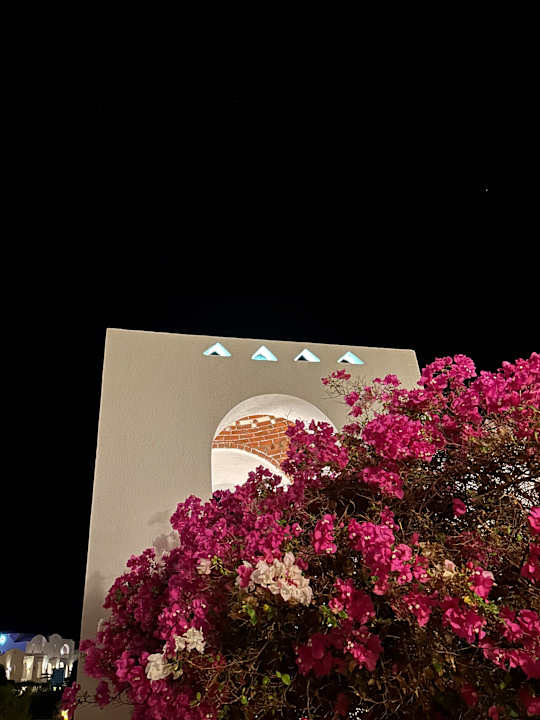 Gartenanlage Beach Safari Nubian Resort