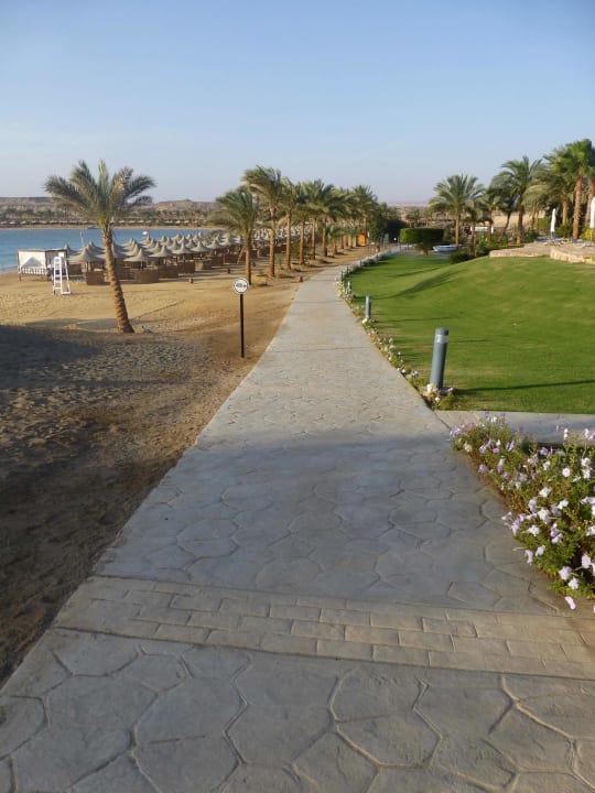 Weg zum Strand Steigenberger Coraya Beach - Adults only