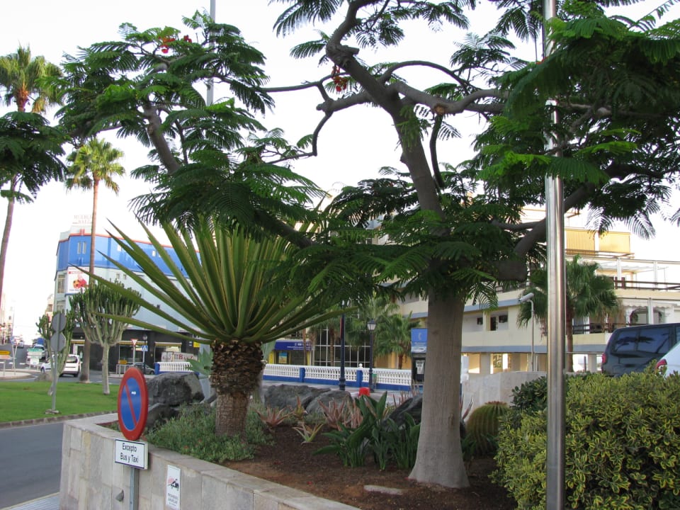 Außenansicht Bull Dorado Beach & Spa