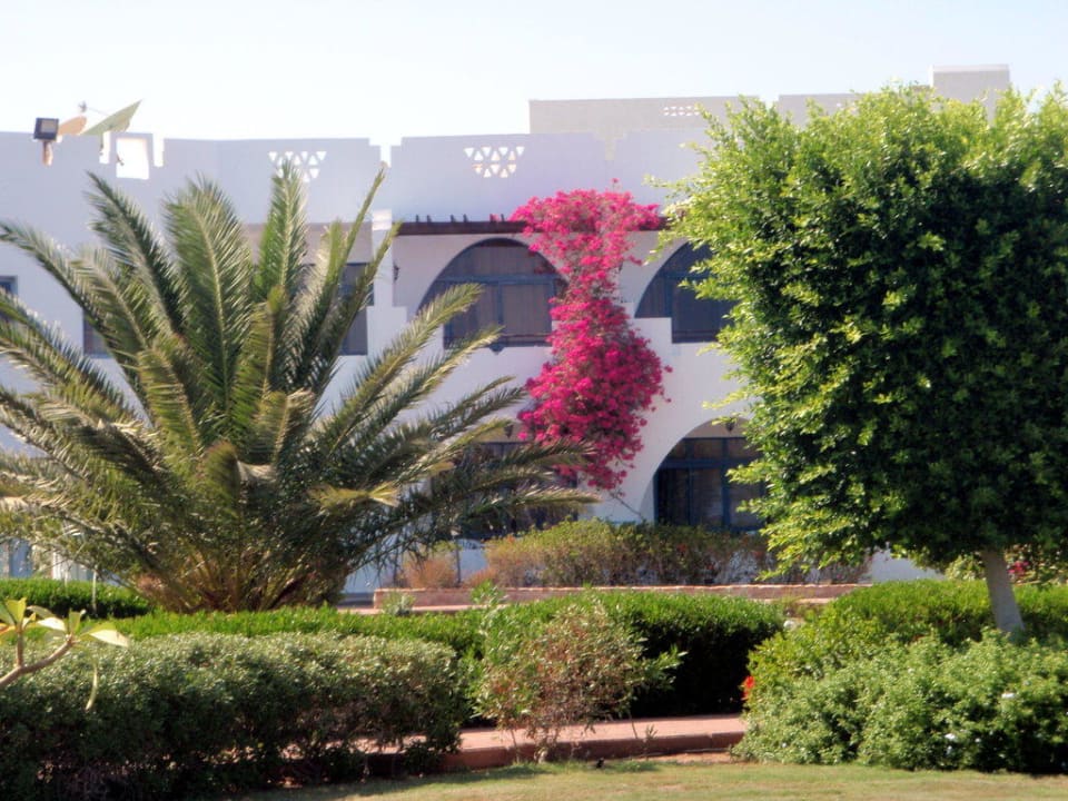 Hotel Three Corners Equinox Beach Resort