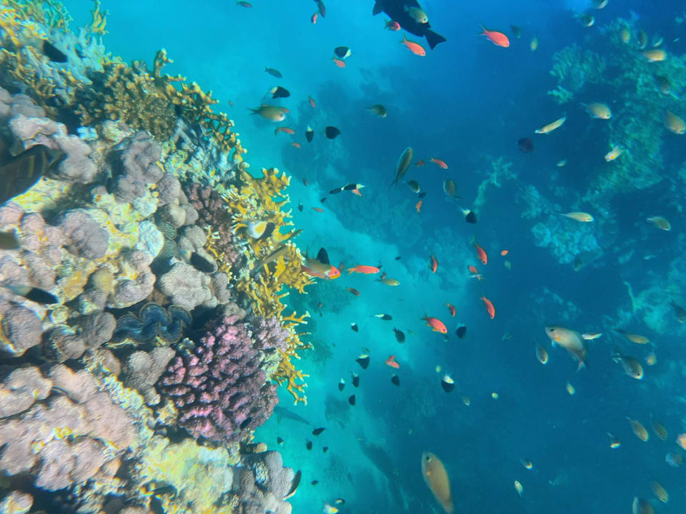 Strand Brayka Bay Resort