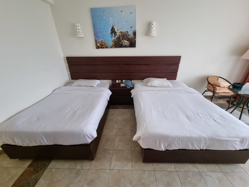 Zimmer Three Corners Equinox Beach Resort