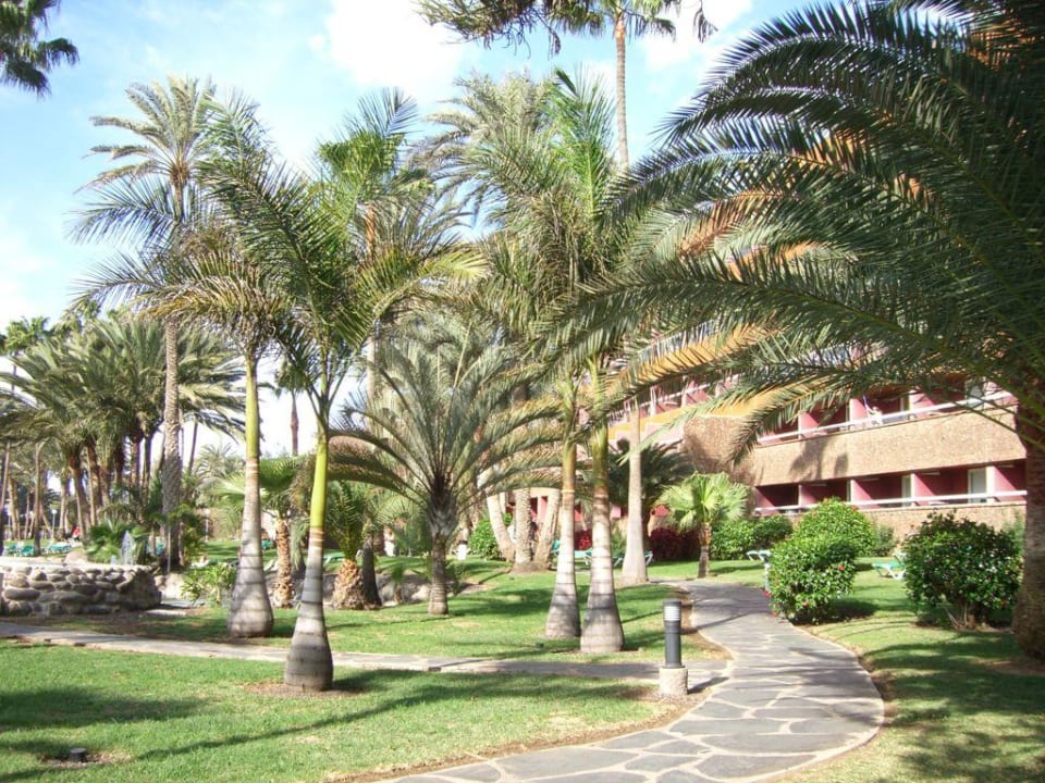 Garten mit Hotelansicht Hotel Riu Palace Oasis