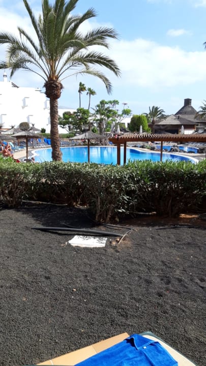 Außenansicht allsun App.-Hotel Albatros