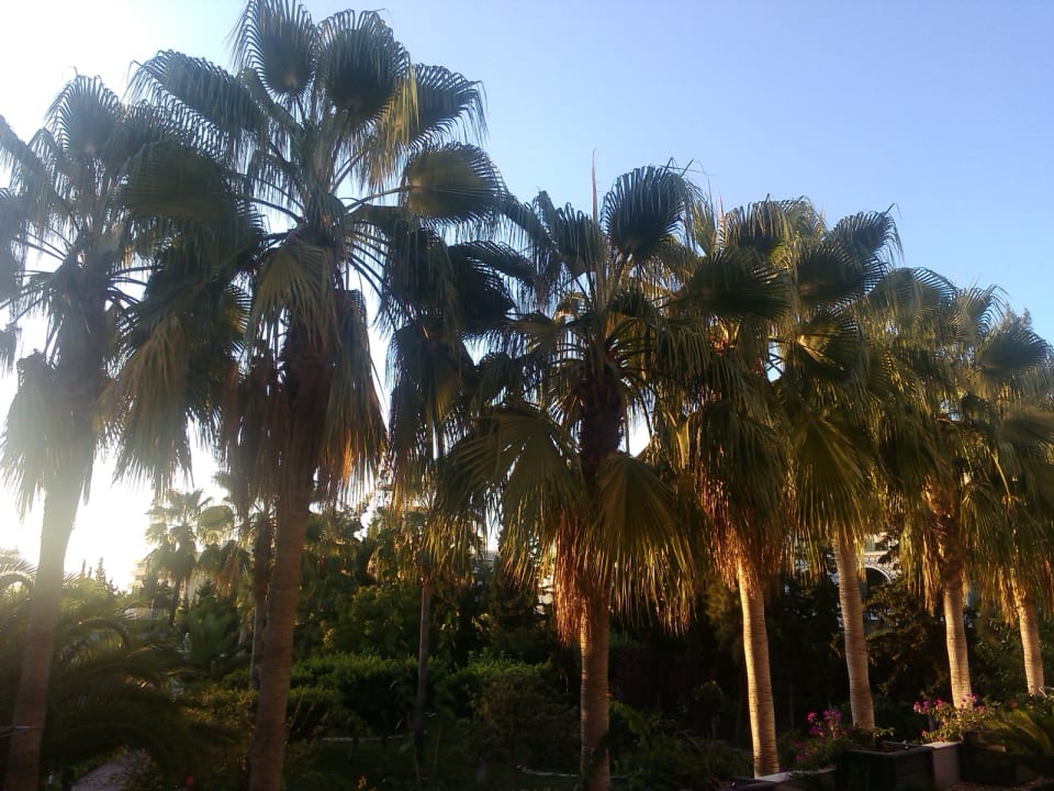 Ausblick Fame Residence Göynük